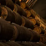 Jak pokochać rum w 5 krokach – przewodnik z karaibskim klimatem