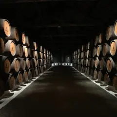 Jak przechowywać whisky, aby nie straciła smaku i jakości