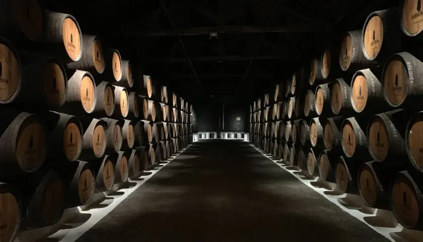 Jak przechowywać whisky, aby nie straciła smaku i jakości