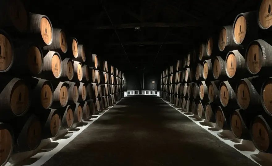 Jak przechowywać whisky, aby nie straciła smaku i jakości